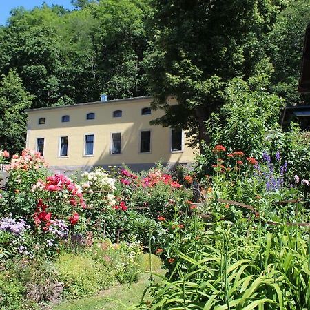 Ferienwohnung Goldgrund Meißen Exteriér fotografie