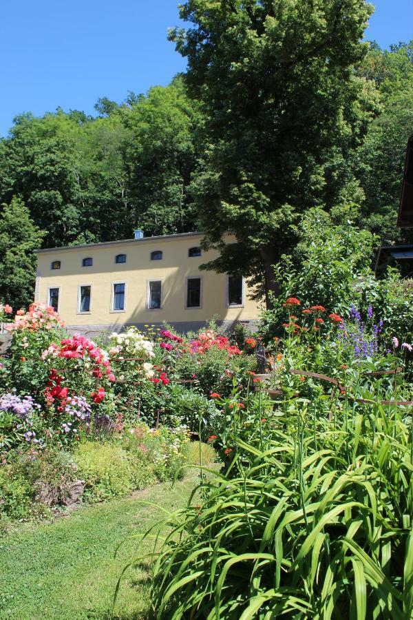 Ferienwohnung Goldgrund Meißen Exteriér fotografie